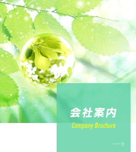 会社案内